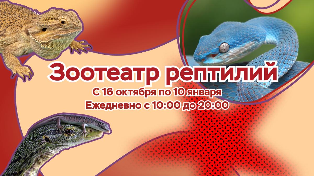 В ТРК «Гранд Каньон» открывается крупнейшая выставка рептилий в России